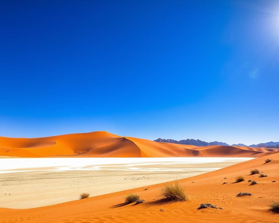 Sossusvlei en Rode Duinen in Namibië