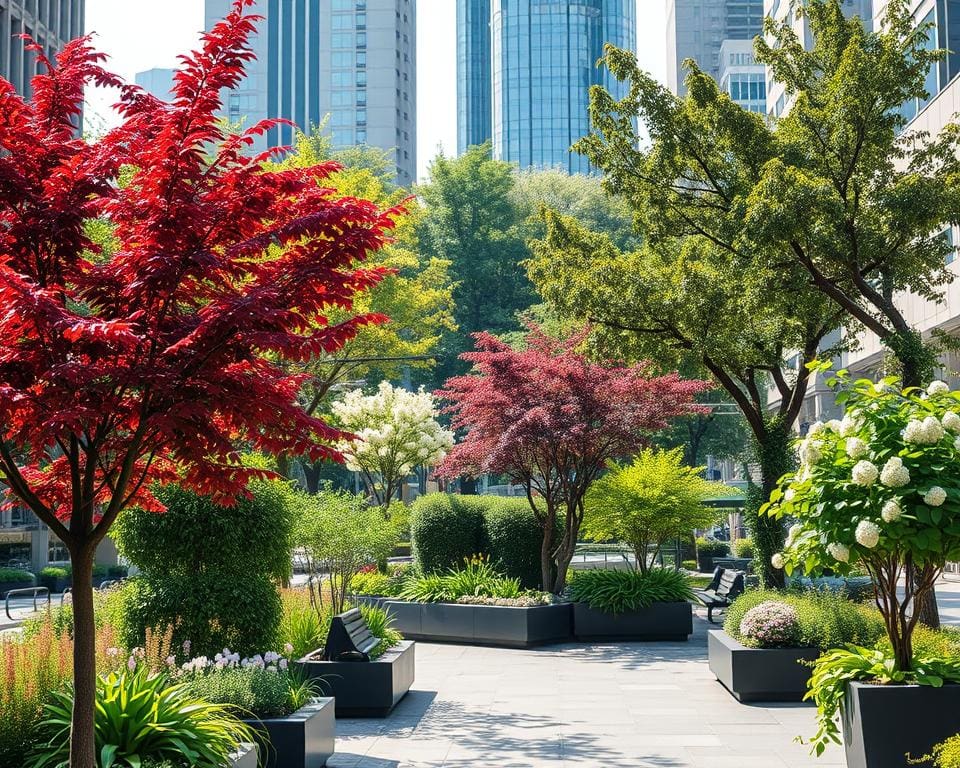 Hoe Kies Je de Beste Bomen voor Een Tuin in de Stad?
