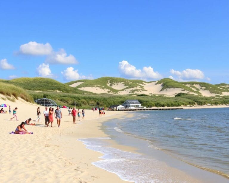 Waarom blijft Zeeland populair voor strandliefhebbers?